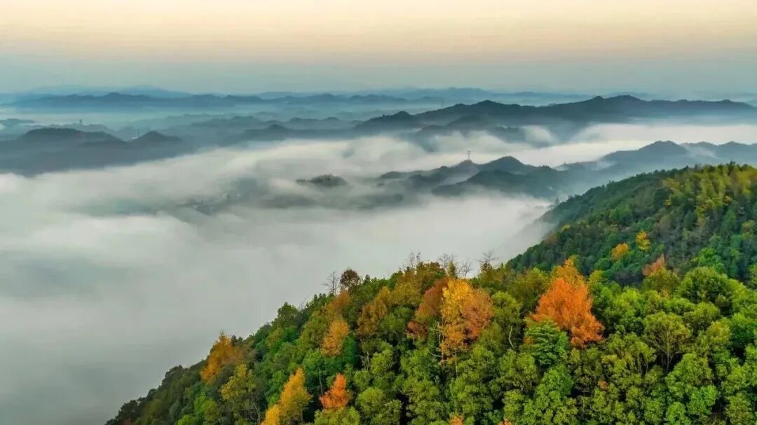 平江好景冬初知最是红橙黄绿时