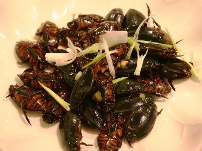 生吃马蜂油炸蜘蛛揭秘云南重口味美食千虫宴