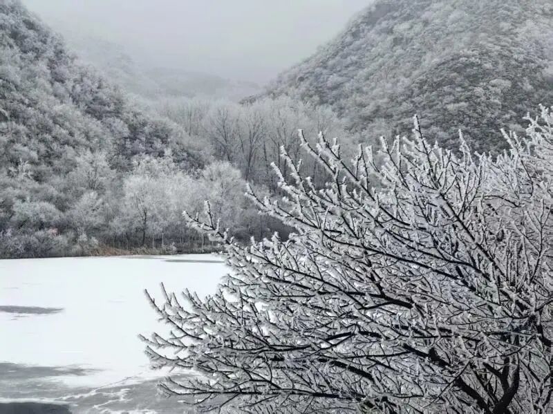 北京今晚到明天还有雪！3月为什么还有鹅毛大雪？专家解读
