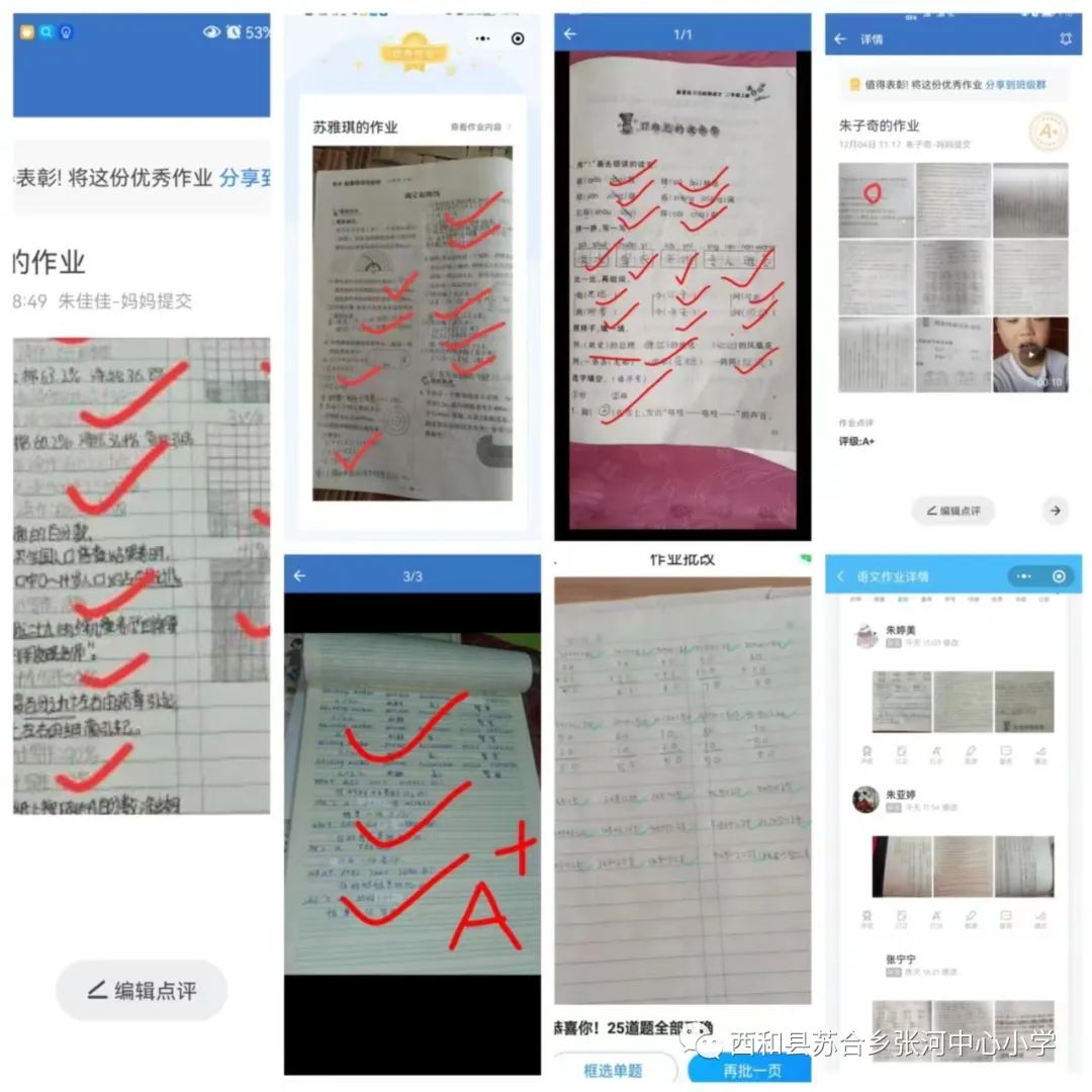 教案范文 教师活动 学生活动_教师教案教学后记范文_小学英语教师教案模板范文