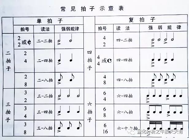 二胡知识分享二胡乐谱中小节强弱拍的练习的方法 六指琴魔之曲谱大全
