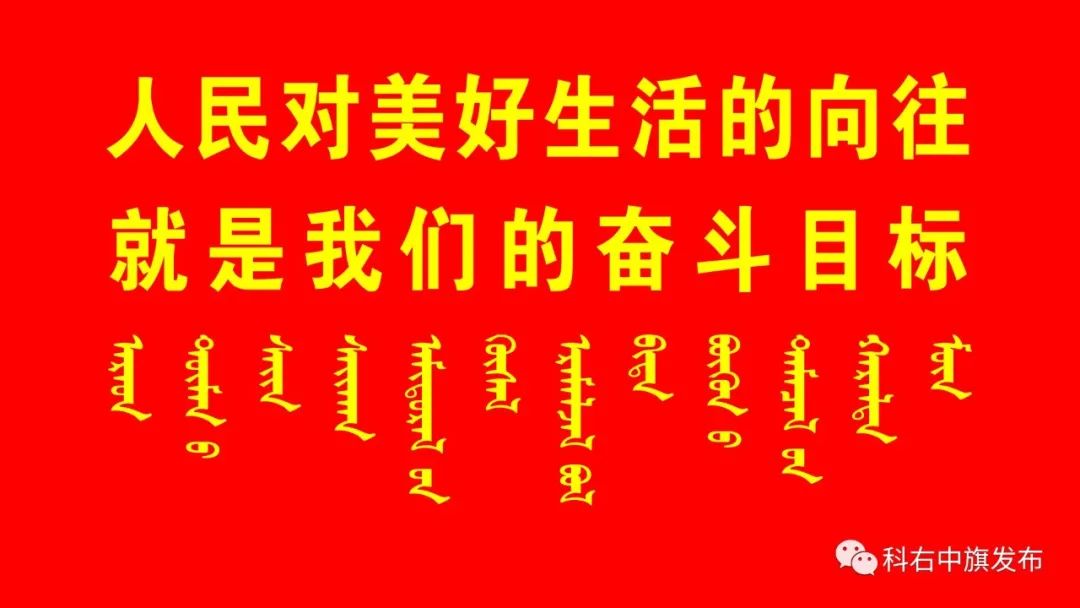 致富经养牛视频_养牛视频致富经_养牛致富经视频播放