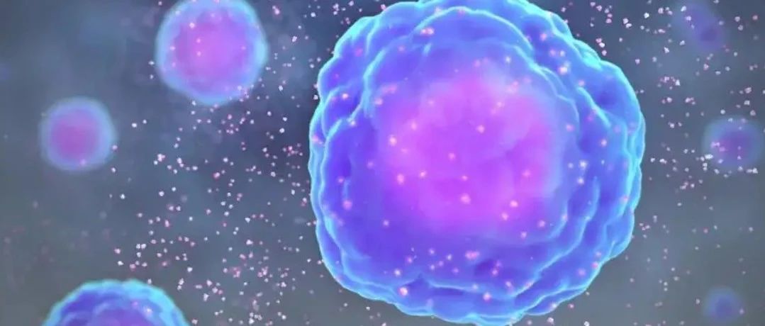 Nature综述：细胞因子在免疫治疗中的应用