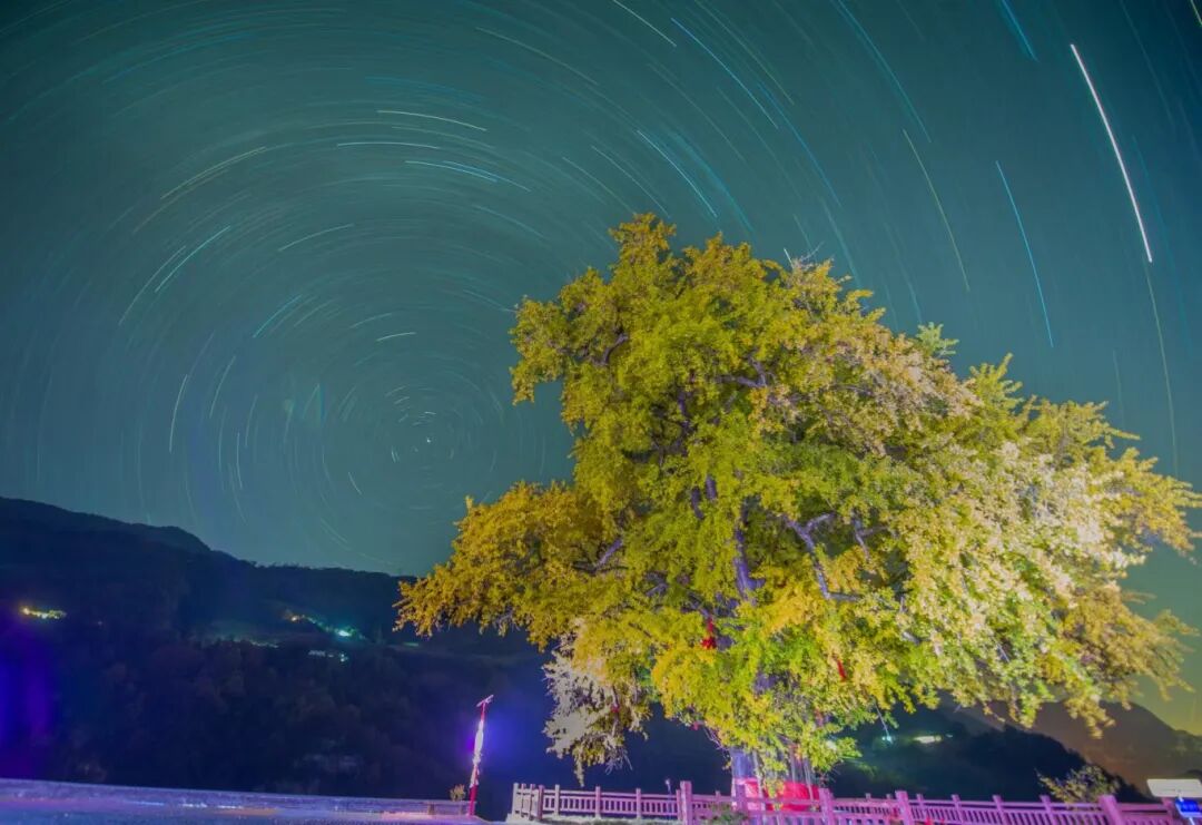 杨林三渡河千年银杏邂逅星空银河（雷勇）4.jpg