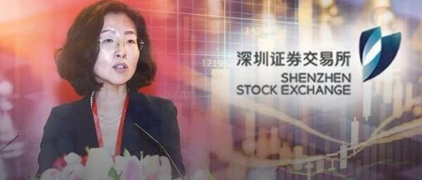深交所总经理人选落定！原证监会机构部沙雁接棒，创业板注册制关键时刻，全力保障改革顺利落地