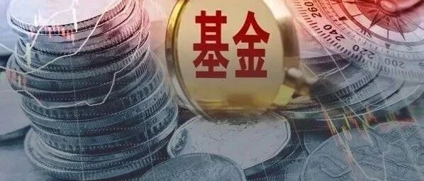 卖爆了！这类基金发行创9年新高，今年最高暴赚超59%！投向34个市场，涉足美国、英国、越南…