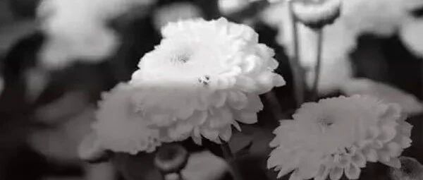 噩耗！私募实控人确认离世，警方介入调查：初步排除刑案可能！所管产品曾遭大量赎回，上市公司也发声