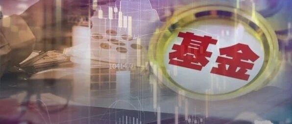 不可思议！基金公司持仓估值竟相差6倍，越"贵"涨幅越大！低估值正被抛弃，赚钱效应会转向吗？