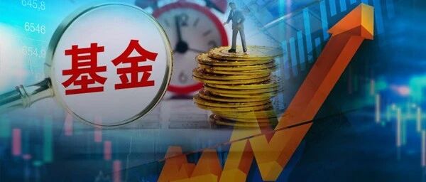 炒股不如买基？！13只基金年内收益翻倍，清一色重仓这类股！业绩排名冒尖要看黑马？看独门选股秘籍