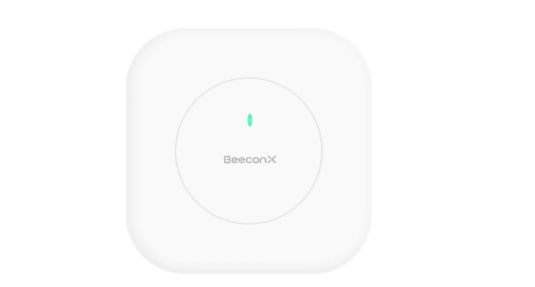 BeeconX BXP1305C   .png