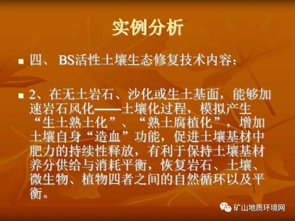PPT~礦山生態(tài)修復(fù)技術(shù)詳解的圖35