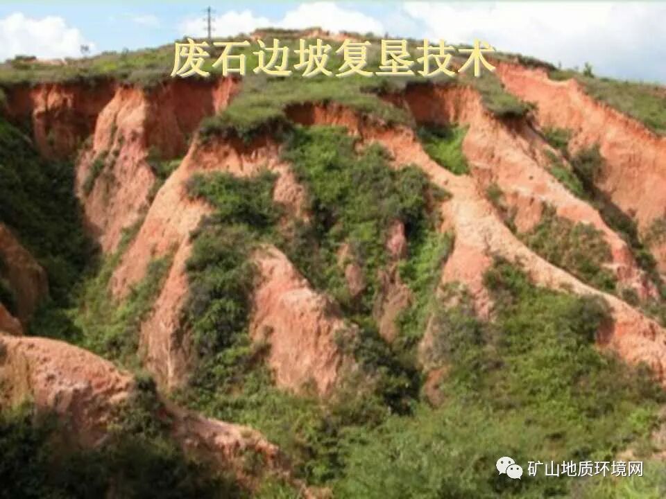 PPT~礦山生態(tài)修復(fù)技術(shù)詳解的圖22