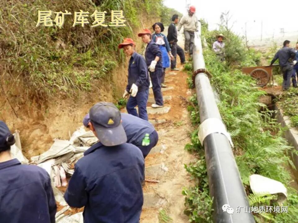 PPT~礦山生態(tài)修復(fù)技術(shù)詳解的圖20