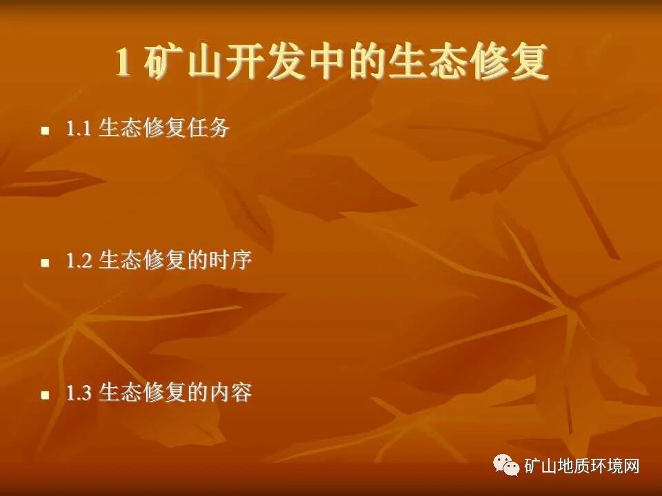 PPT~礦山生態(tài)修復(fù)技術(shù)詳解的圖5