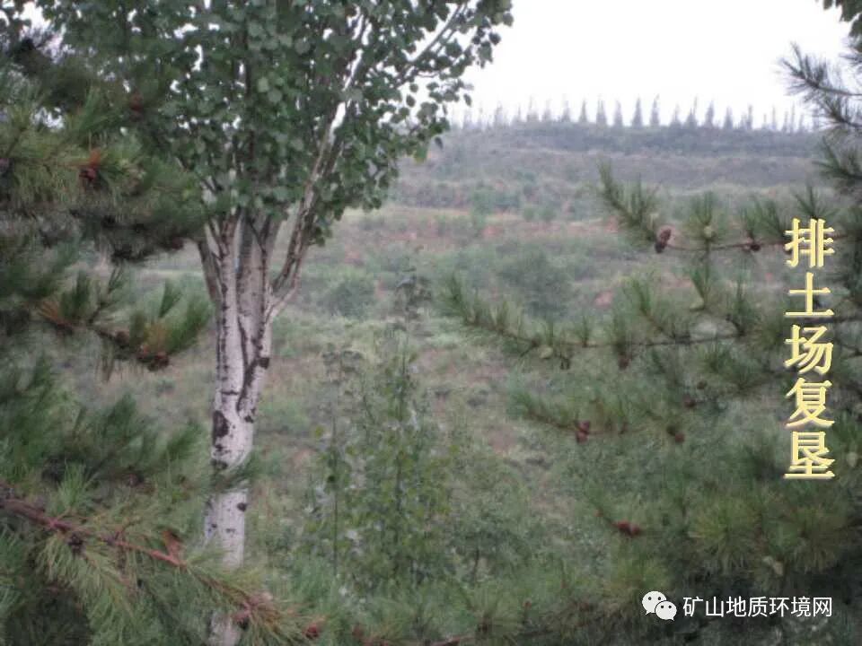 PPT~礦山生態(tài)修復(fù)技術(shù)詳解的圖17