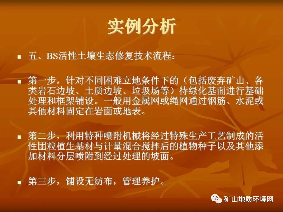 PPT~礦山生態(tài)修復(fù)技術(shù)詳解的圖37
