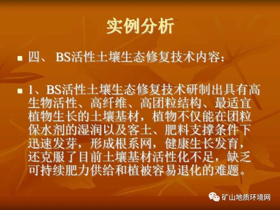 PPT~礦山生態(tài)修復(fù)技術(shù)詳解的圖34