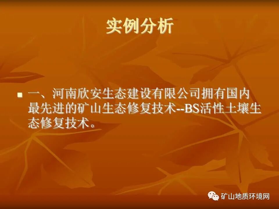PPT~礦山生態(tài)修復(fù)技術(shù)詳解的圖28
