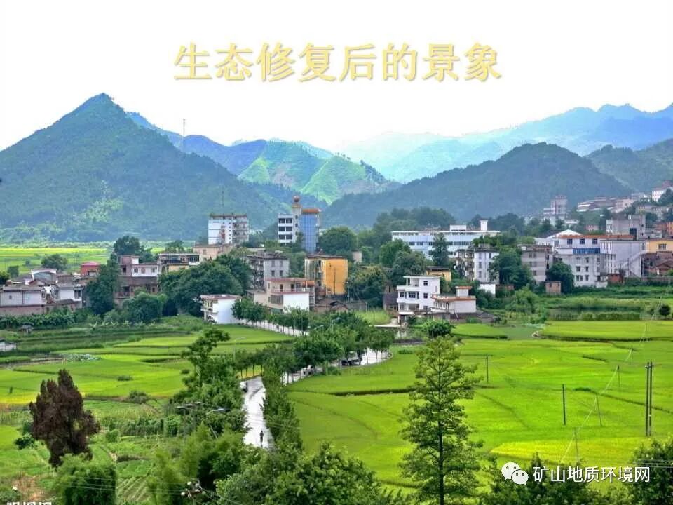 PPT~礦山生態(tài)修復(fù)技術(shù)詳解的圖11