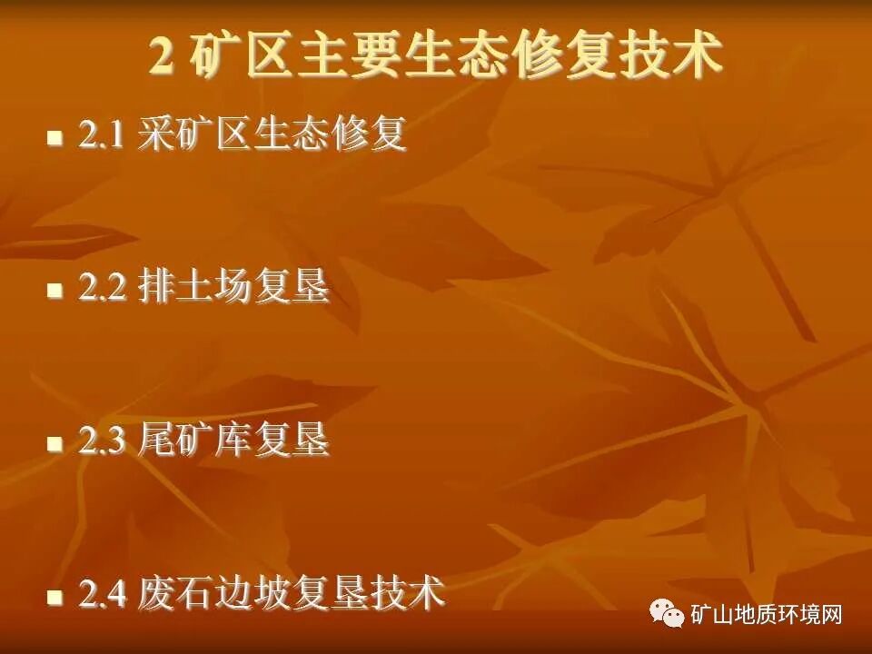 PPT~礦山生態(tài)修復(fù)技術(shù)詳解的圖13