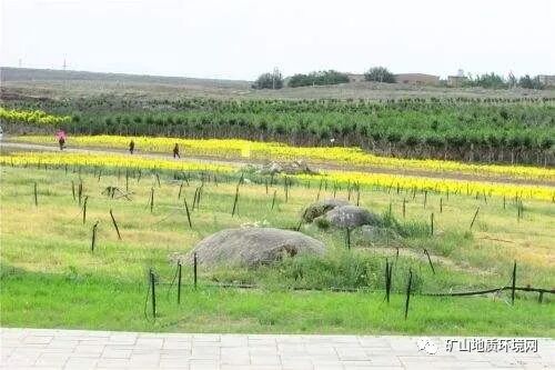 礦區(qū)植被重建，如何寫露天礦山整改報告？的圖3
