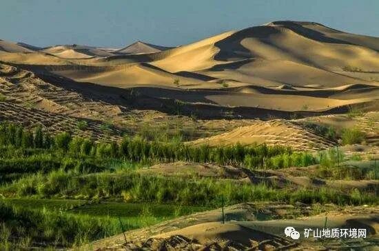 礦區(qū)植被重建，如何寫露天礦山整改報告？的圖2