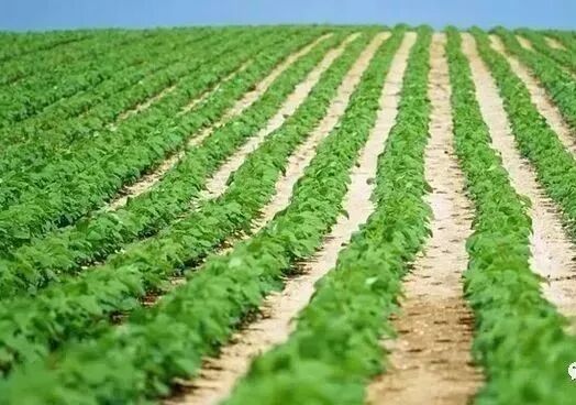 农用地转为建设用地流程的图2