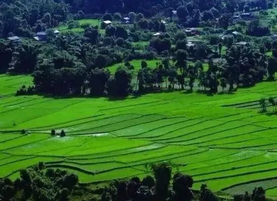 农用地转为建设用地流程的图1