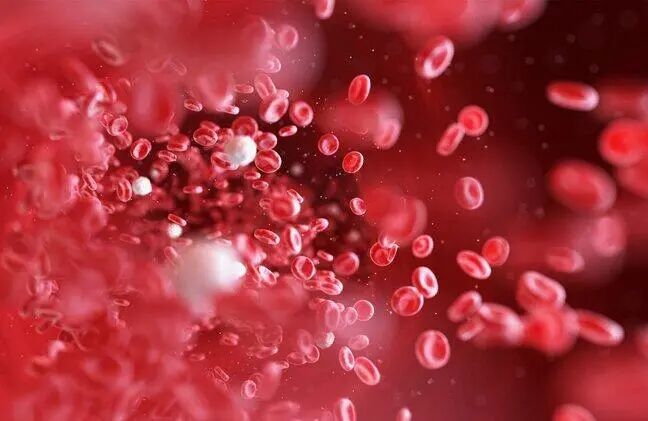 为什么查全自动血细胞抽血能查什么病？为什么一抽就好几管，剩下的会用来干嘛？_https://www.jmylbn.com_新闻资讯_第6张