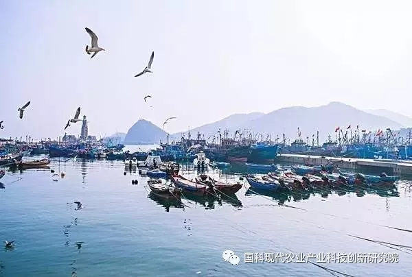 农业部:我国渔业发展概述(2012-2017) 农业部:我国渔业发展概述(2012-2017)