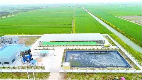 畜禽粪污 的图像结果