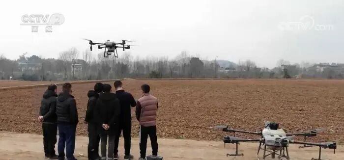 成为“新农人”，一起做农村里最靓的仔|界面新闻 · 中国