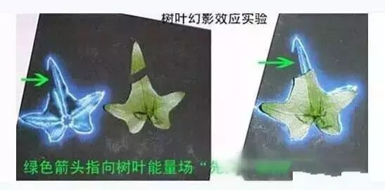 科学惊人发现：中医学的经络穴位实则来源另外维次空间？