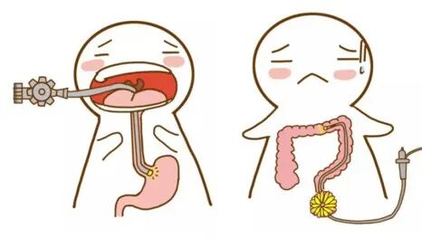 什么是超声容积探头新技术 ｜ 胃肠不好怕检查？别怕！胃肠充盈超声造影检查新方法来帮您_https://www.jmylbn.com_新闻资讯_第3张