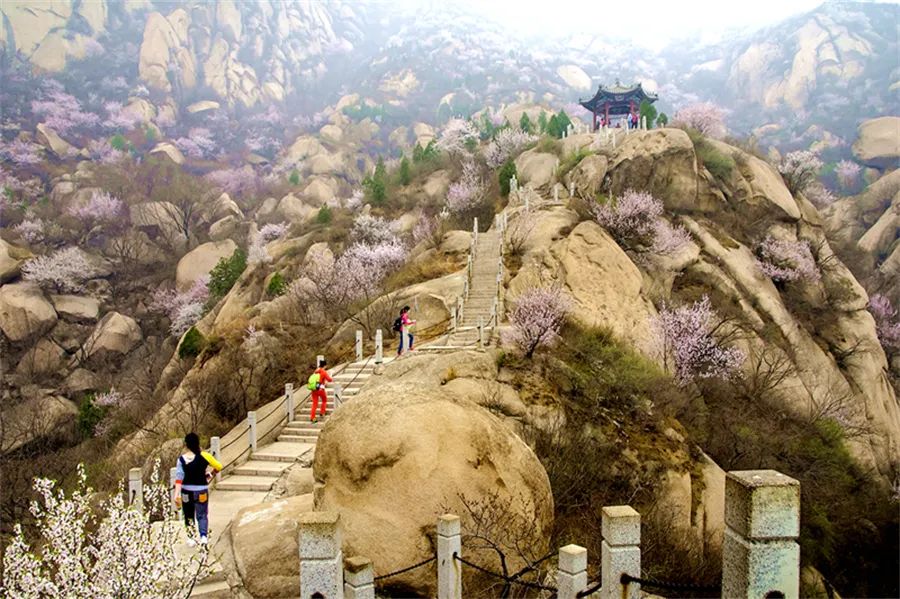 京都绿洲美誉：探索北京西山，领略自然之美