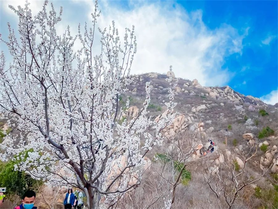 北京凤凰岭公园门票多少钱一张_北京凤凰岭自然风景区门票_北京凤凰岭门票