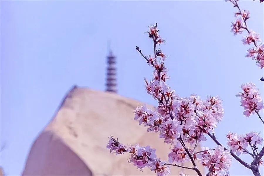 北京凤凰岭门票_北京凤凰岭自然风景区门票_北京凤凰岭公园门票多少钱一张