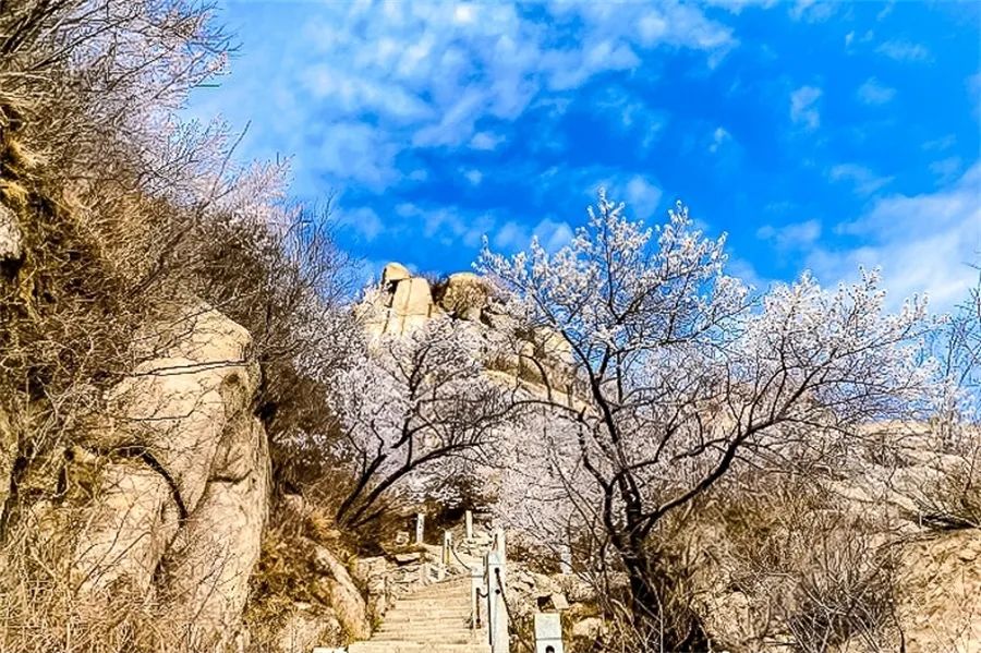 北京凤凰岭自然风景区门票_北京凤凰岭公园门票多少钱一张_北京凤凰岭门票