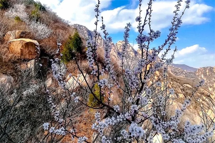 北京凤凰岭自然风景区门票_北京凤凰岭门票_北京凤凰岭公园门票多少钱一张