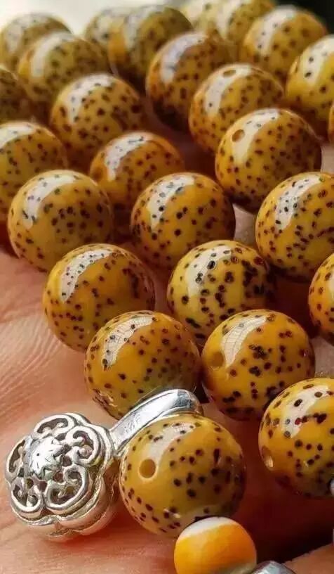 星月菩提设计_菩提星月盘玩方法_星月菩提盘出来的效果图