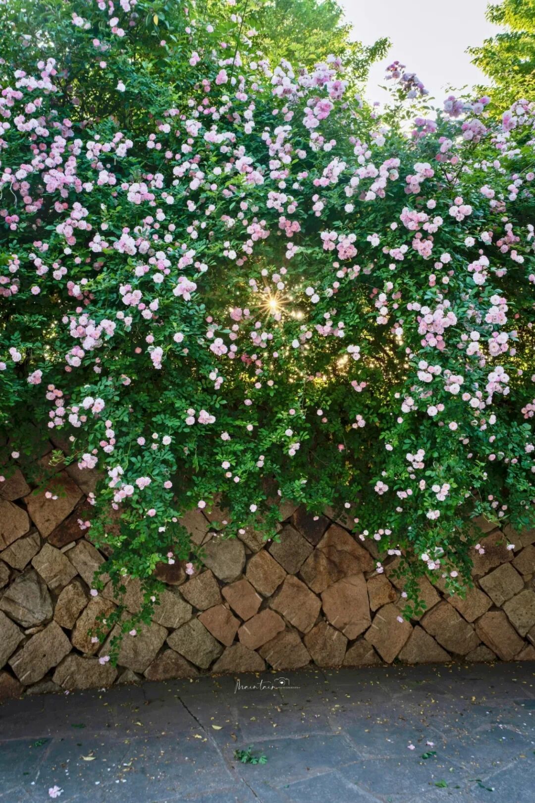5e660ca4305d97443f34ae441e5f473d.jpg