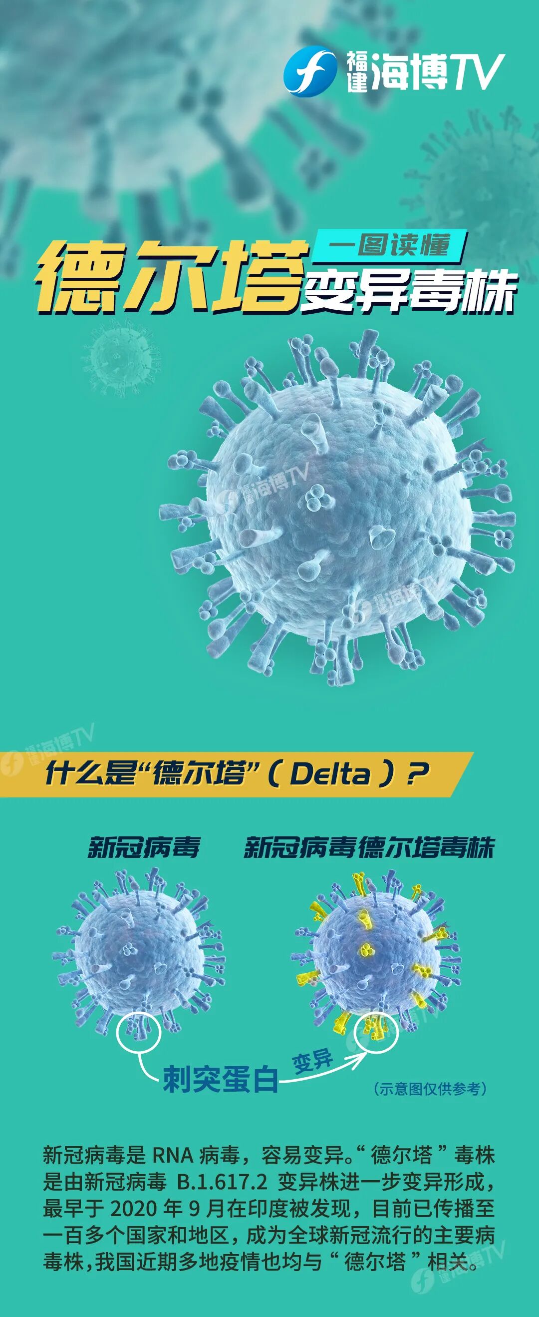 防疫科普一图读懂德尔塔毒株