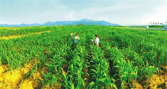 农业农村部:2021年,重点扶持这28个项目!(图2) 图片