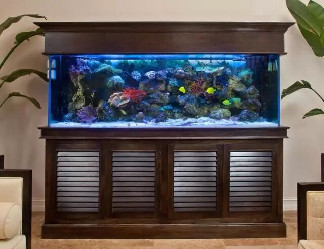 鱼缸摆放的风水禁忌！这些你知道吗？