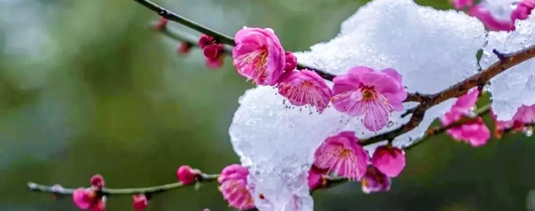 s型拉勾怎么拿高考倒计时30天 ｜ 拉勾！_https://www.jmylbn.com_新闻资讯_第39张