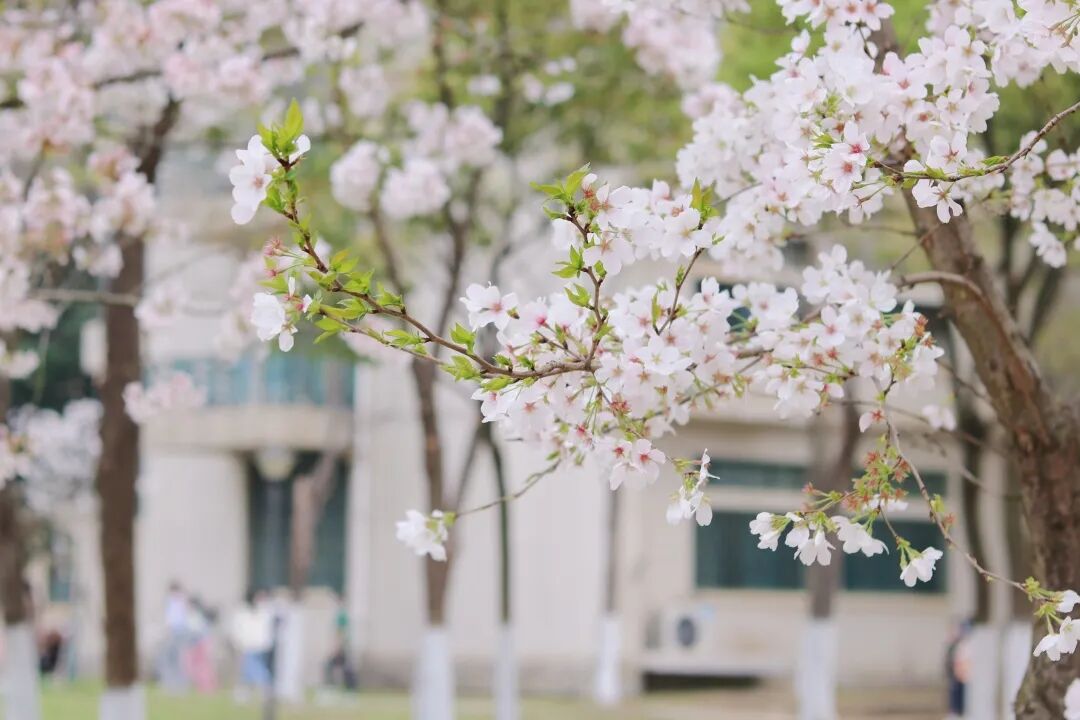 s型拉勾怎么拿高考倒计时30天 ｜ 拉勾！_https://www.jmylbn.com_新闻资讯_第34张