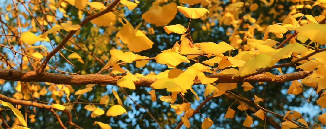 s型拉勾怎么拿高考倒计时30天 ｜ 拉勾！_https://www.jmylbn.com_新闻资讯_第38张