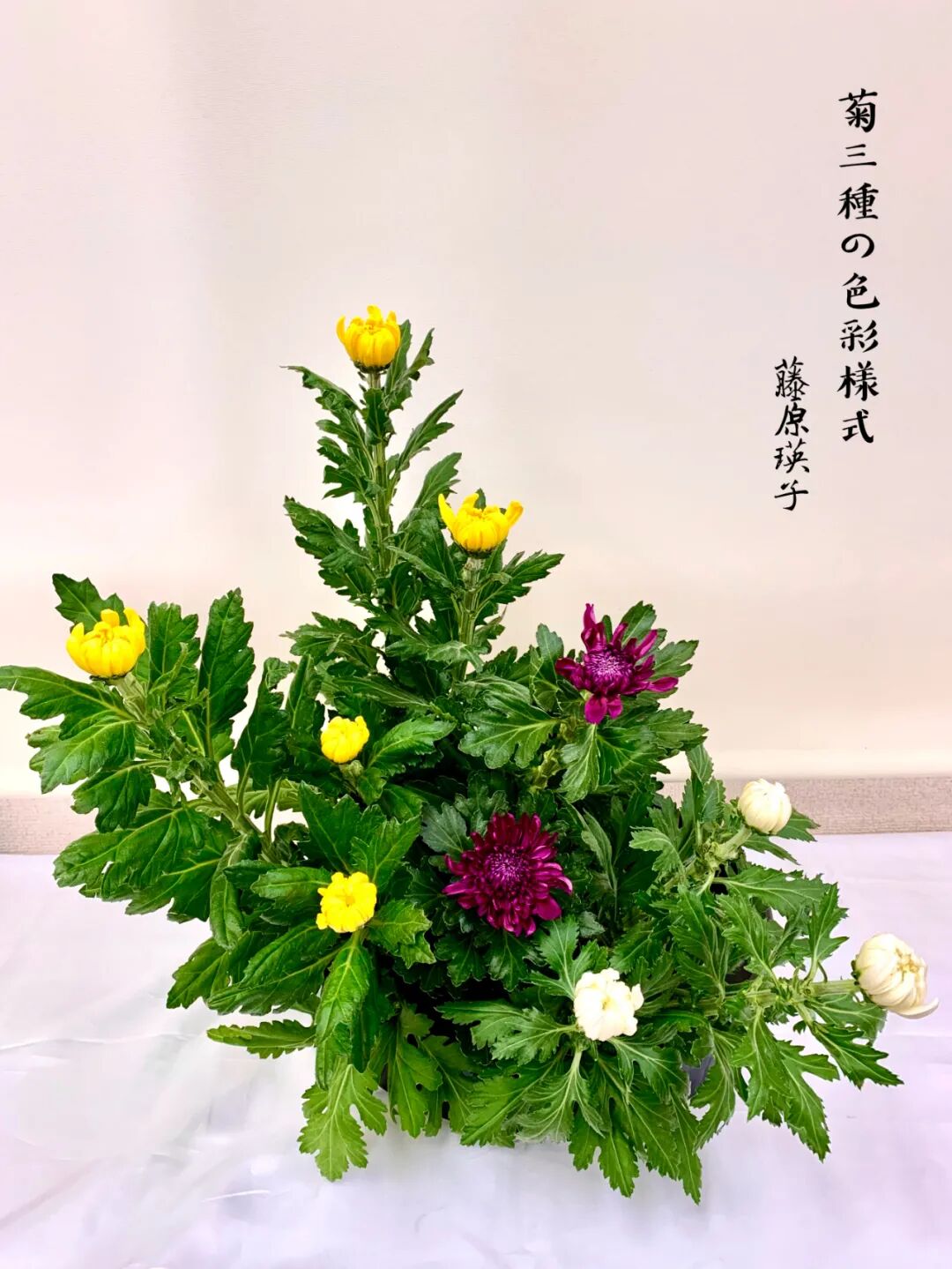 全日本华人花艺协会为双节献礼 掬月弄花之 秋韵插花 线上作品展 中文导报 微信公众号文章阅读 Wemp