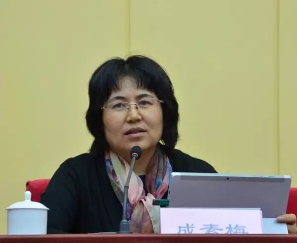 人工智能的社会、伦理与未来