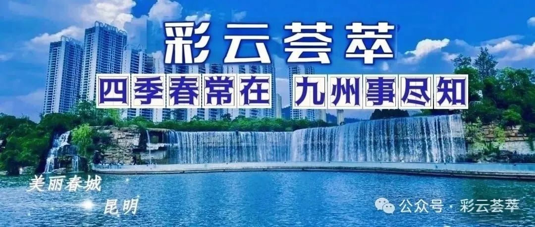 高考成绩,昆明市优质高中高考成绩以及600分以上人数统计